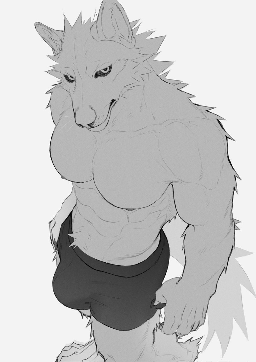 Daemon 🐆🐾 tweet media