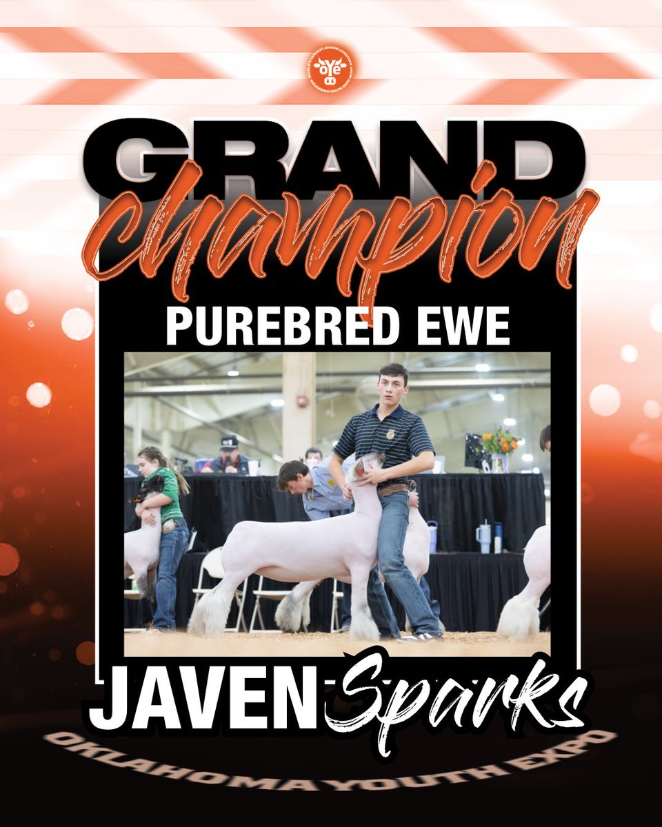 Javen Sparks exhibits the Supreme Champion Purebred Ewe at the 2026 Oklahoma Youth Expo! 🏆