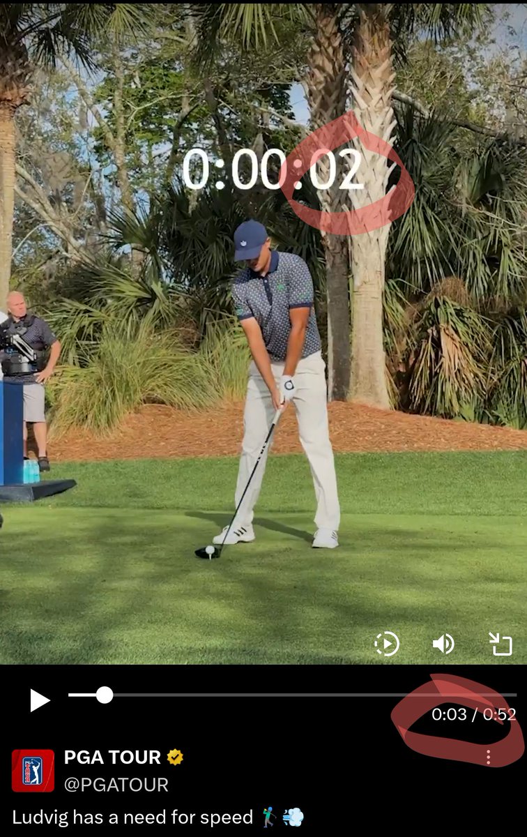 Tarnation tweet media