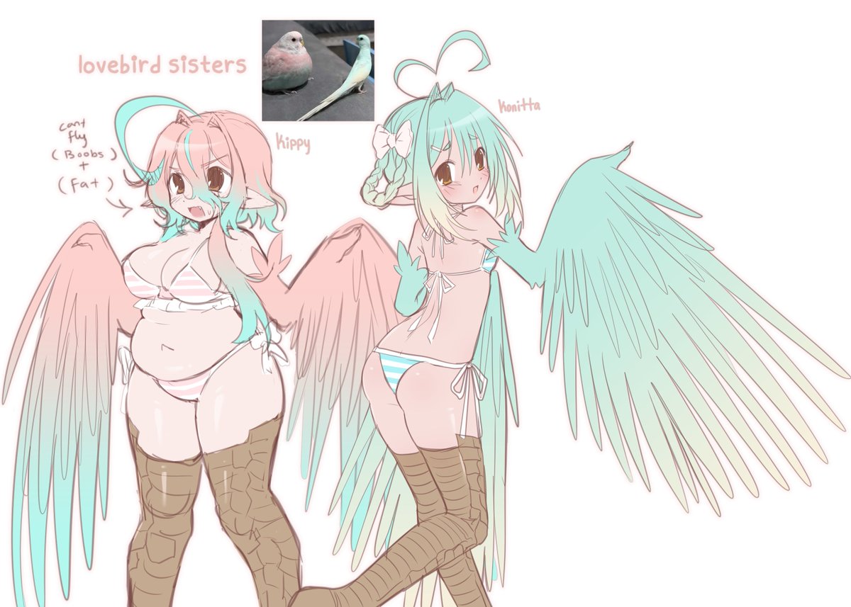 k1k1wa's tweet photo. chirp https://t.co/TmvzyEyHK9