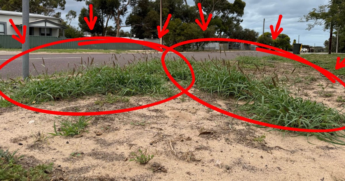 Eyre Peninsula Landscape Board tweet media