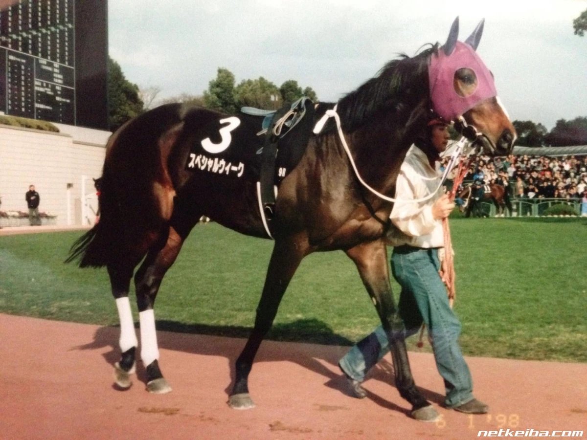 NightStar tweet media