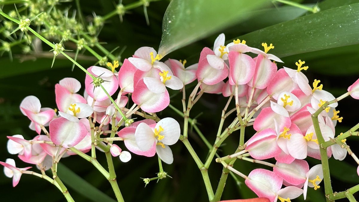 itsme_krrishm's tweet image. Find your happiness, not by seeking more, but by appreciating what you already have. - Frank Sonnenberg

#HappyMonday
#KrrishClick