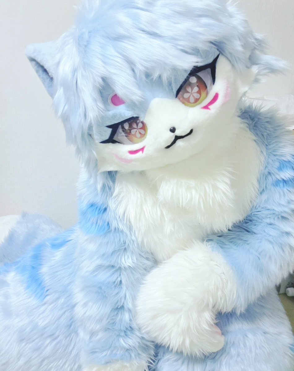 猫又桜🌸(네코마타 사쿠라) tweet media