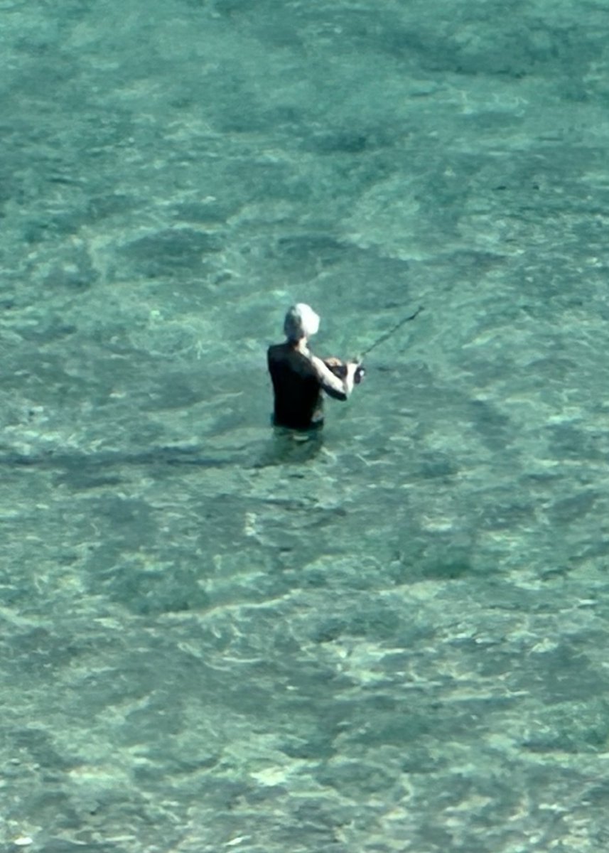 Doug Wanoy tweet media