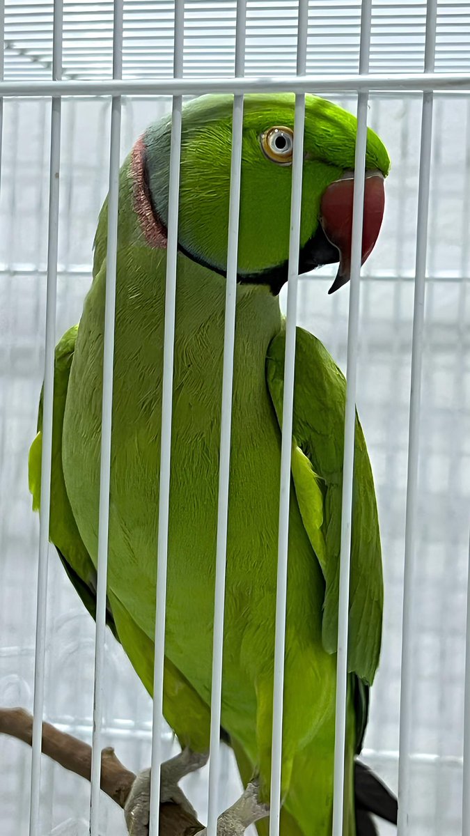 يَــ ™ | 📍 tweet media