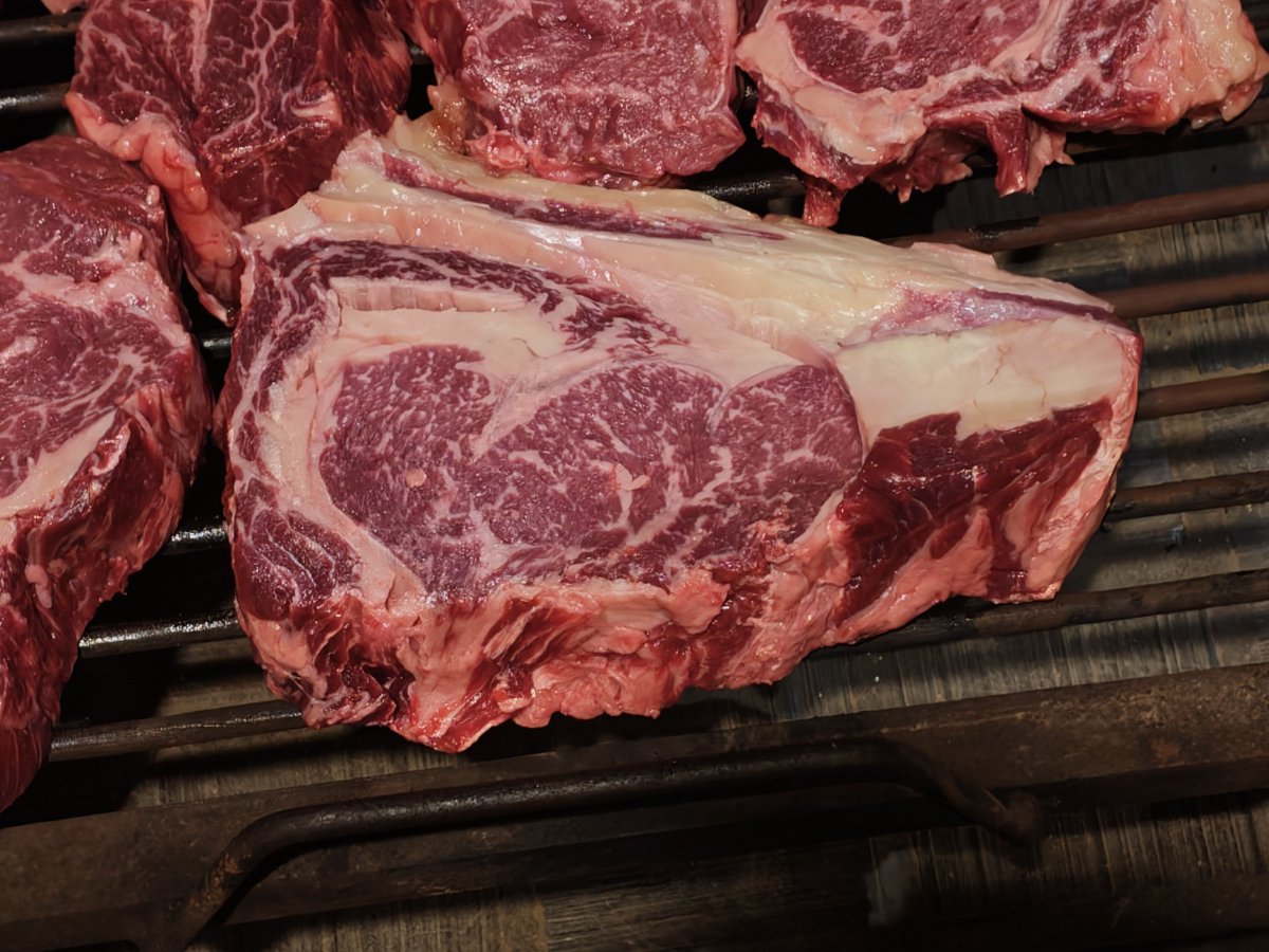 Gustavo Almassio tweet media