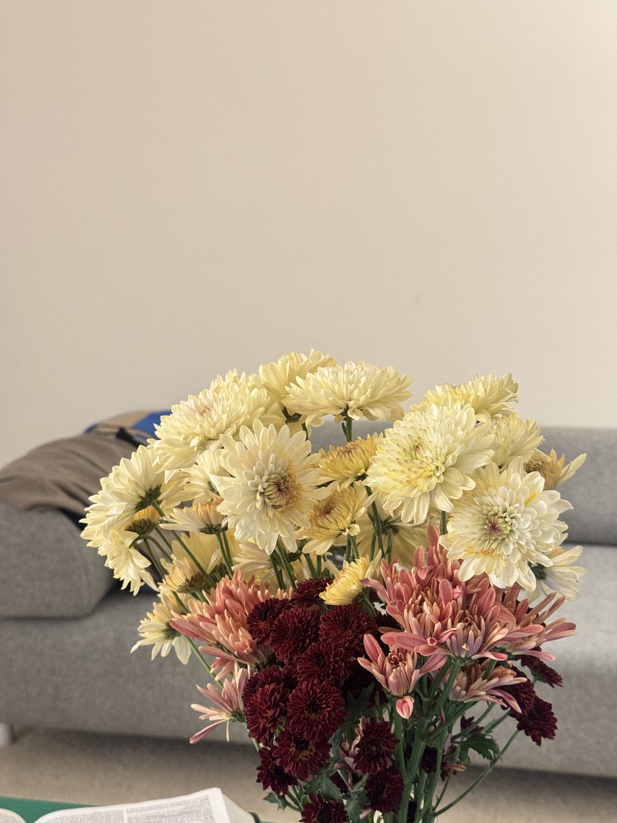 Thomas Chen tweet media