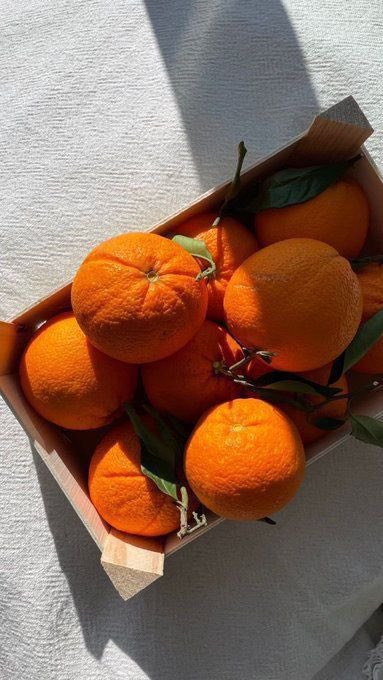 𝗣𝗹𝘂𝗴𝗺𝗮𝗻 tweet media