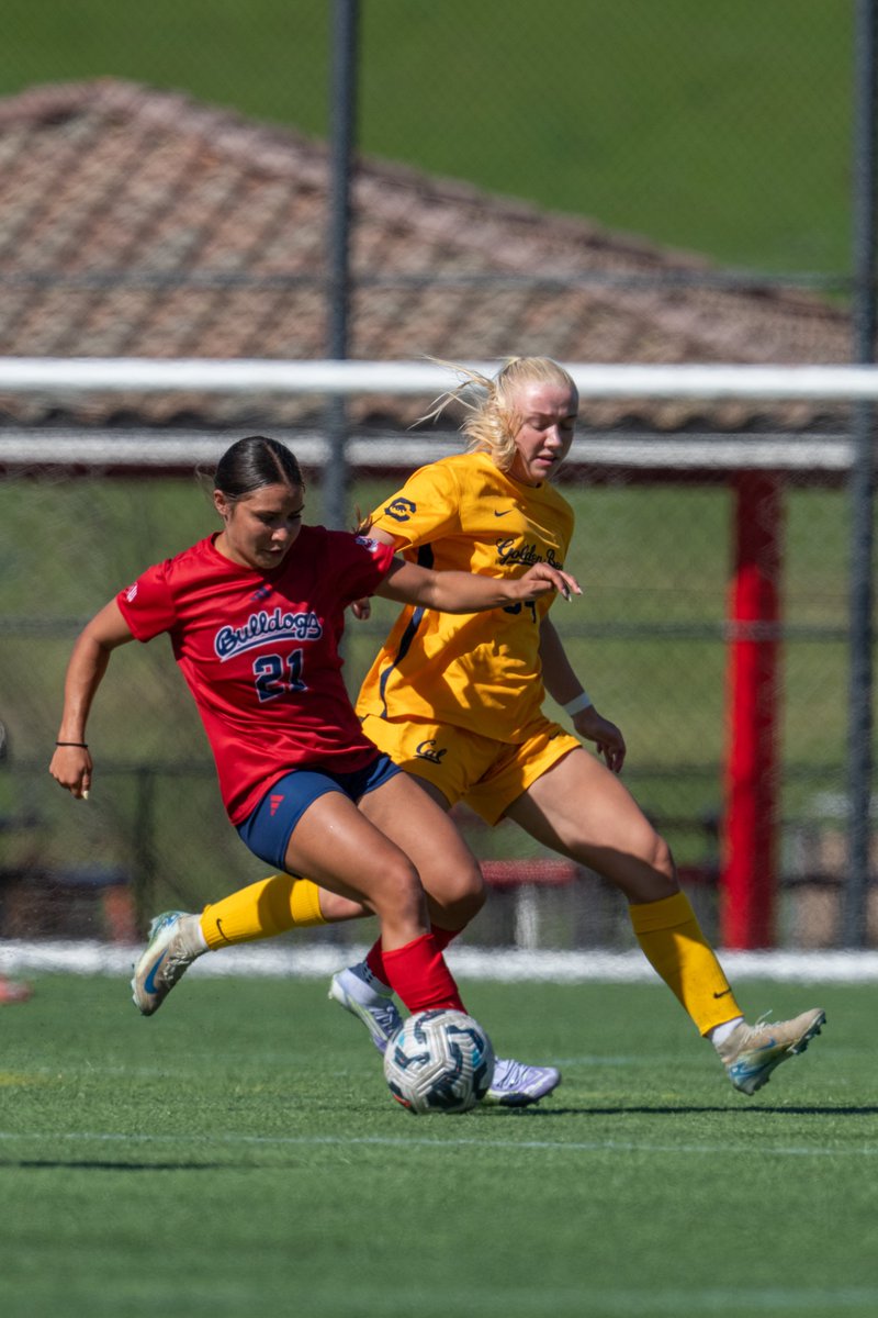 Fresno State Soccer tweet media
