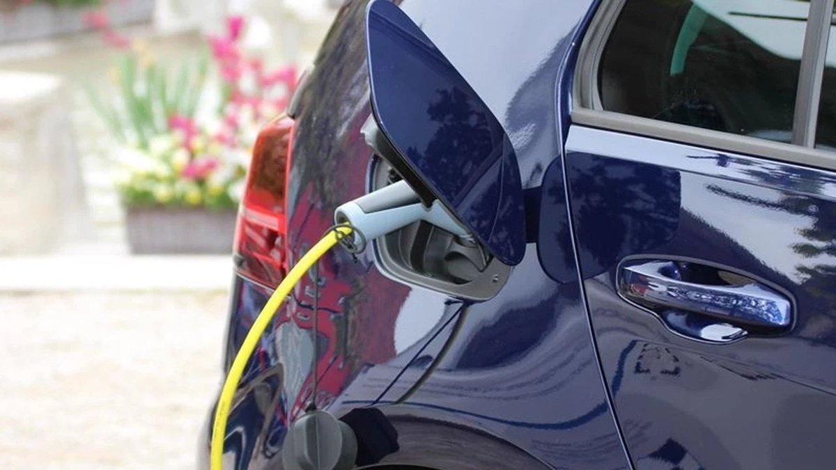 Dünya Gazetesi tweet media