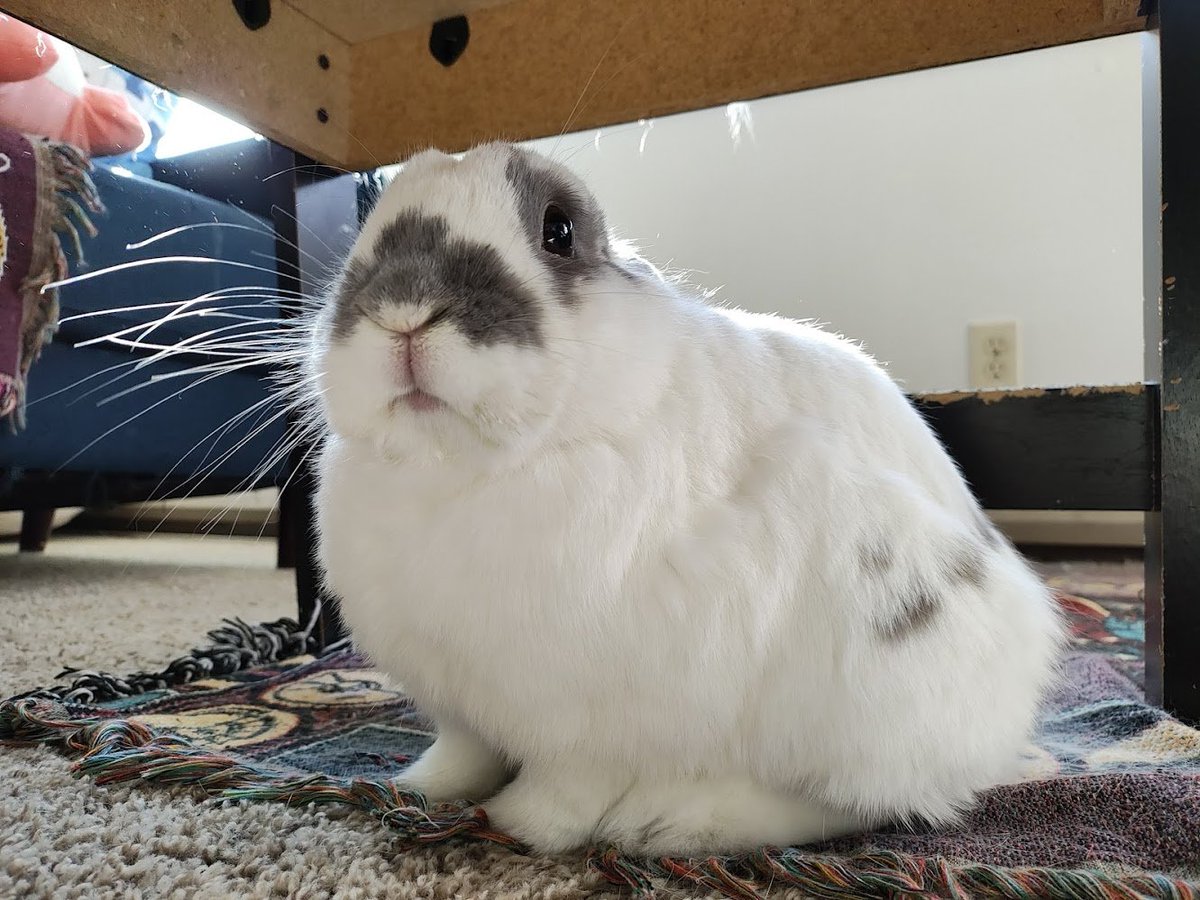 Princess Sephiroth 🍉 tweet media