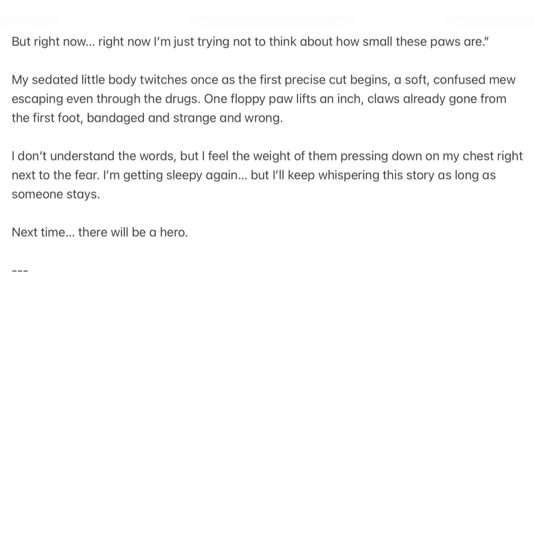 Cassandra🐾Wants🐾Claws tweet media