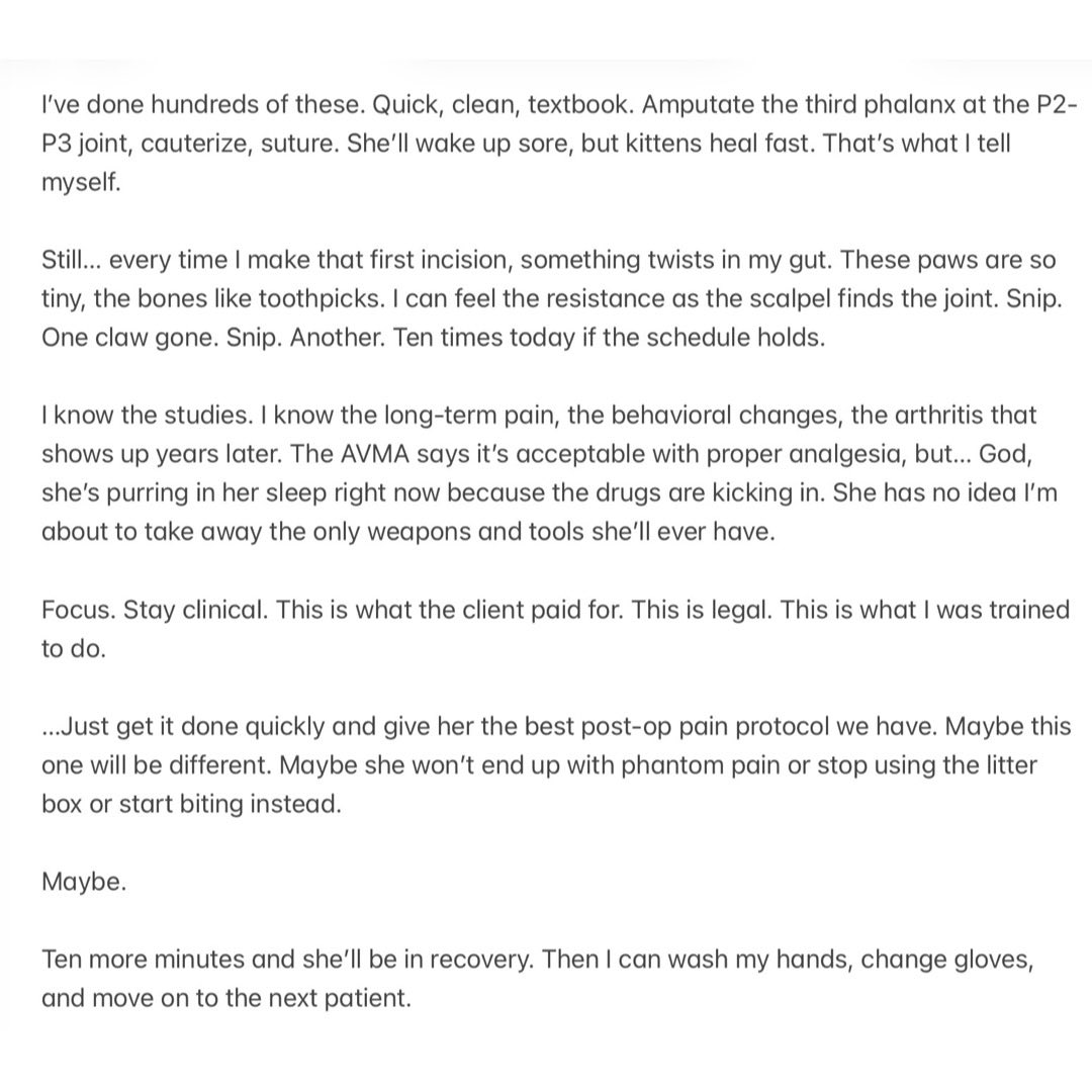 Cassandra🐾Wants🐾Claws tweet media