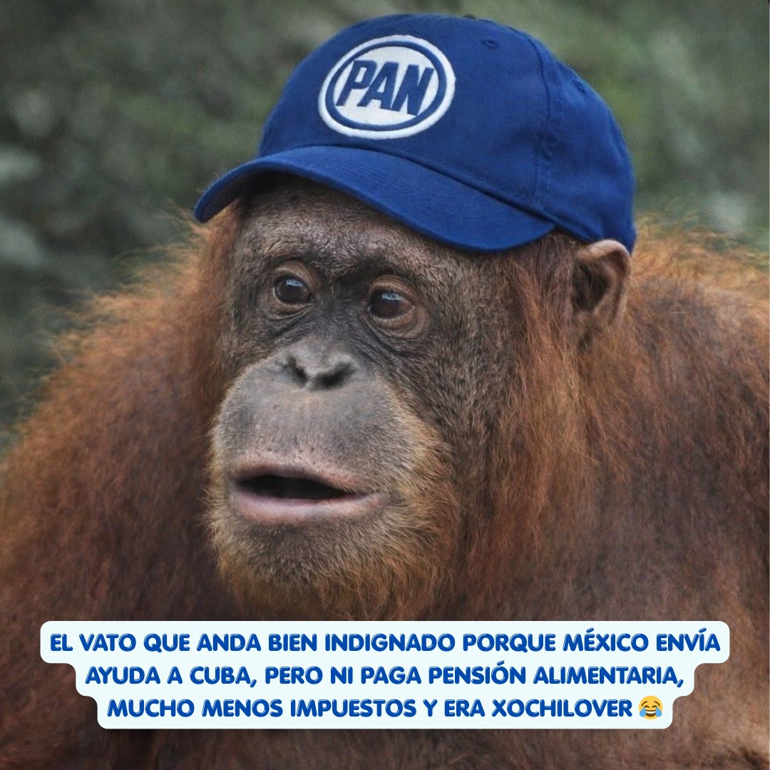Tan espantados por la ayuda a Cuba 😂
Pero sí son 😂 …