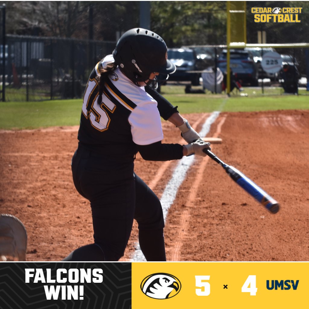 Cedar Crest College Falcons tweet media