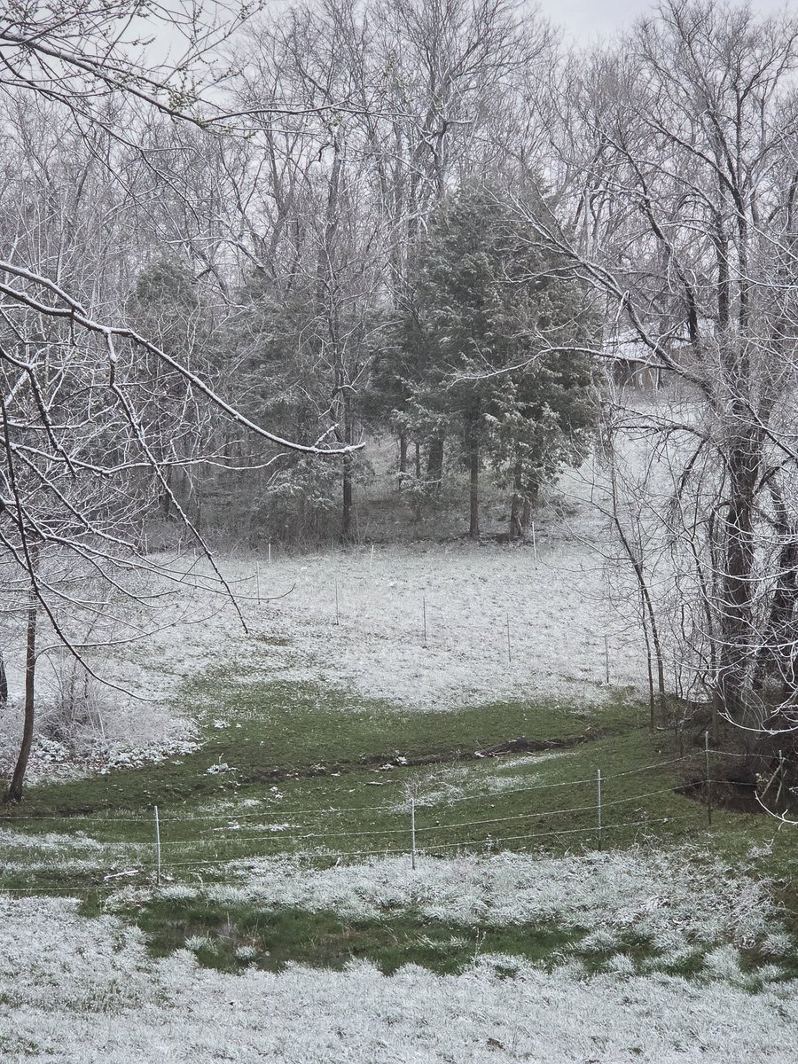 PolkCo.Line tweet media