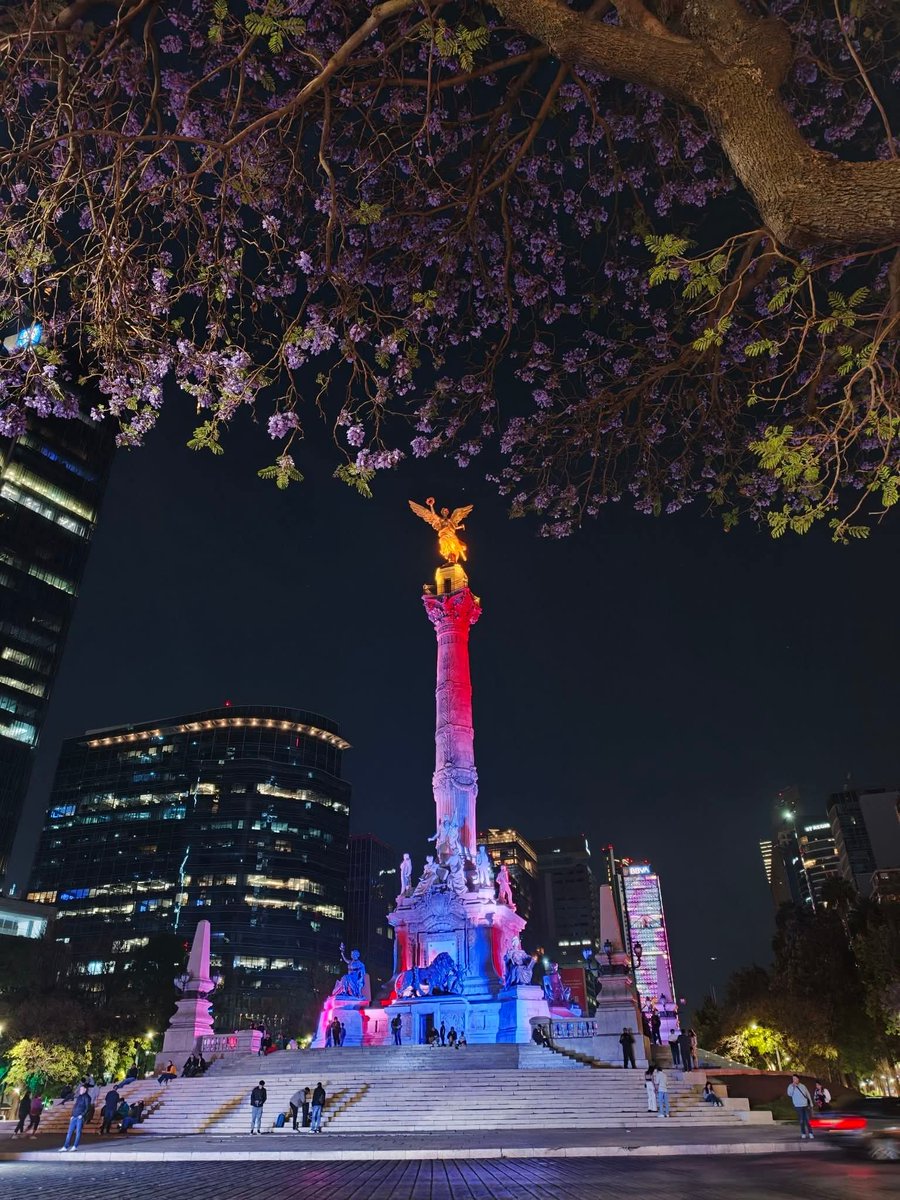 Jean-Jacques Rousseau tweet media