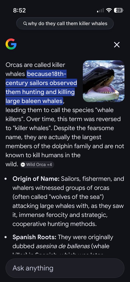 ItzMercy🩸 tweet media