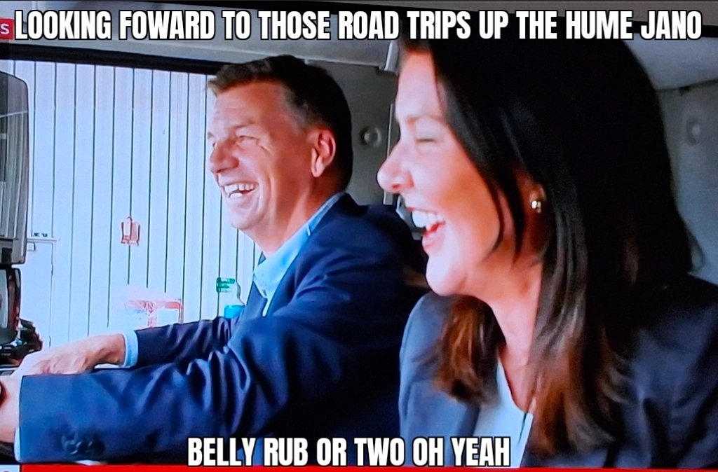 Ashley Greene tweet media