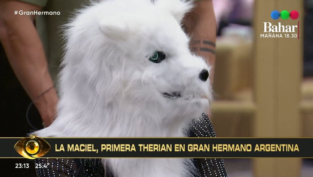 Alexis #GranHermano 👁 tweet media