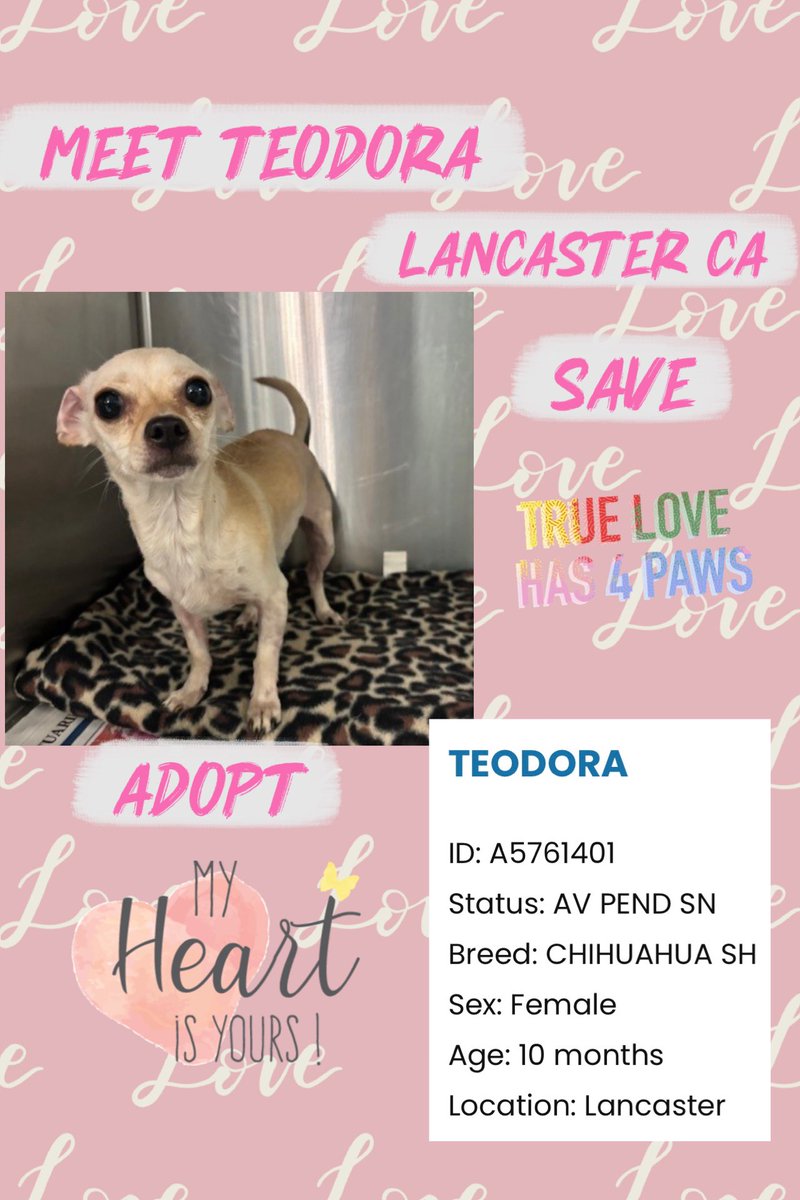 Sarah jane Gillespie tweet media