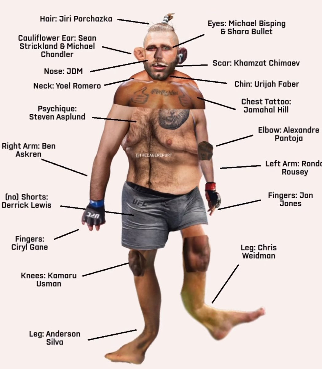 Blind Bear 🐻🕶️ tweet media