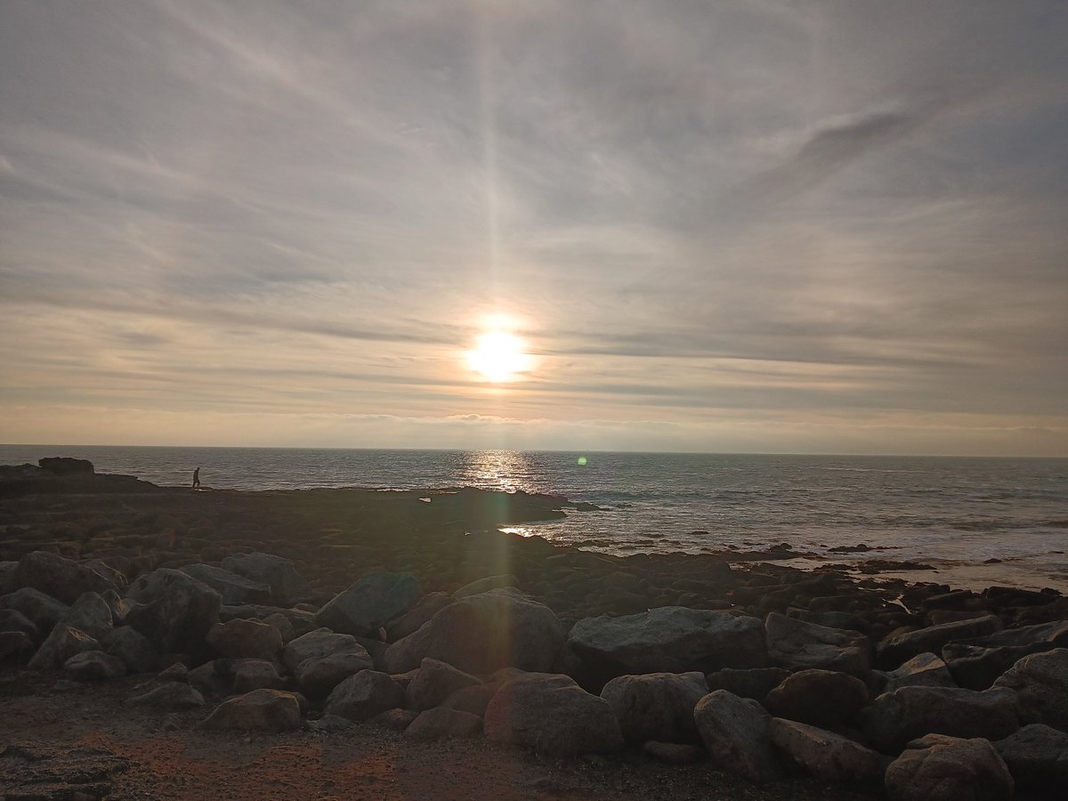 AuthorLRiddle tweet media