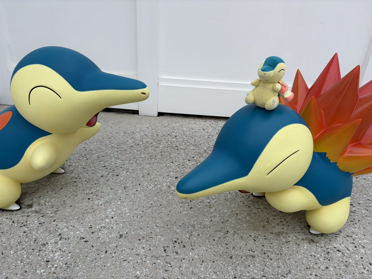 色違いのびっび✨ tweet media