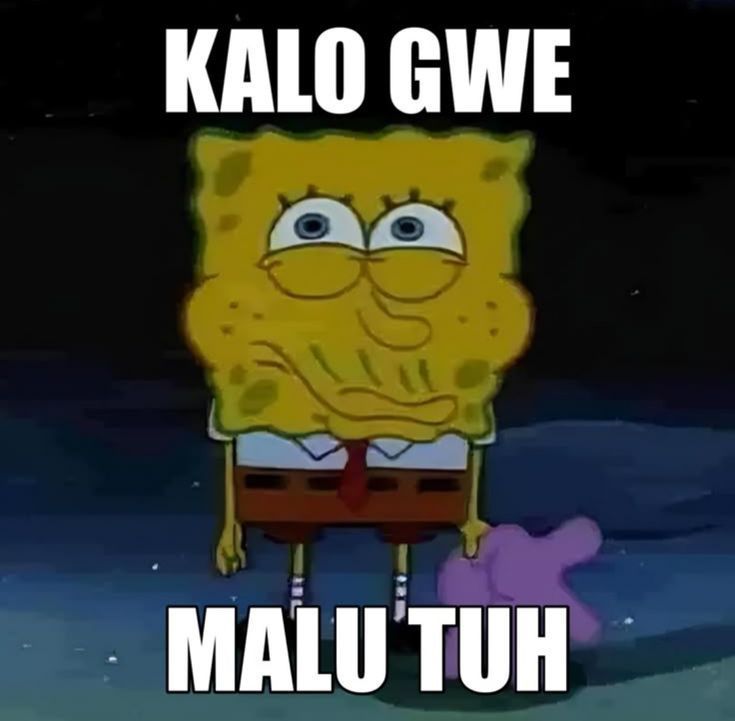 heli ^᪲᪲᪲ tweet media