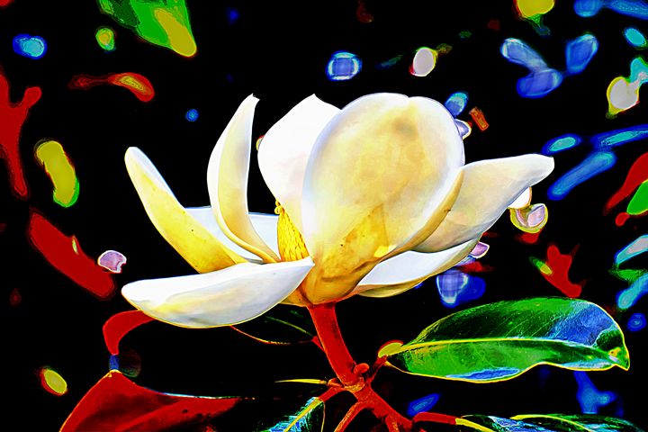 LUniqueEssence1's tweet photo. Art of the Day! "Whimsical Magnolia". Buy at: https://t.co/BbWCJuJHkf https://t.co/kJ9PKS7fJY