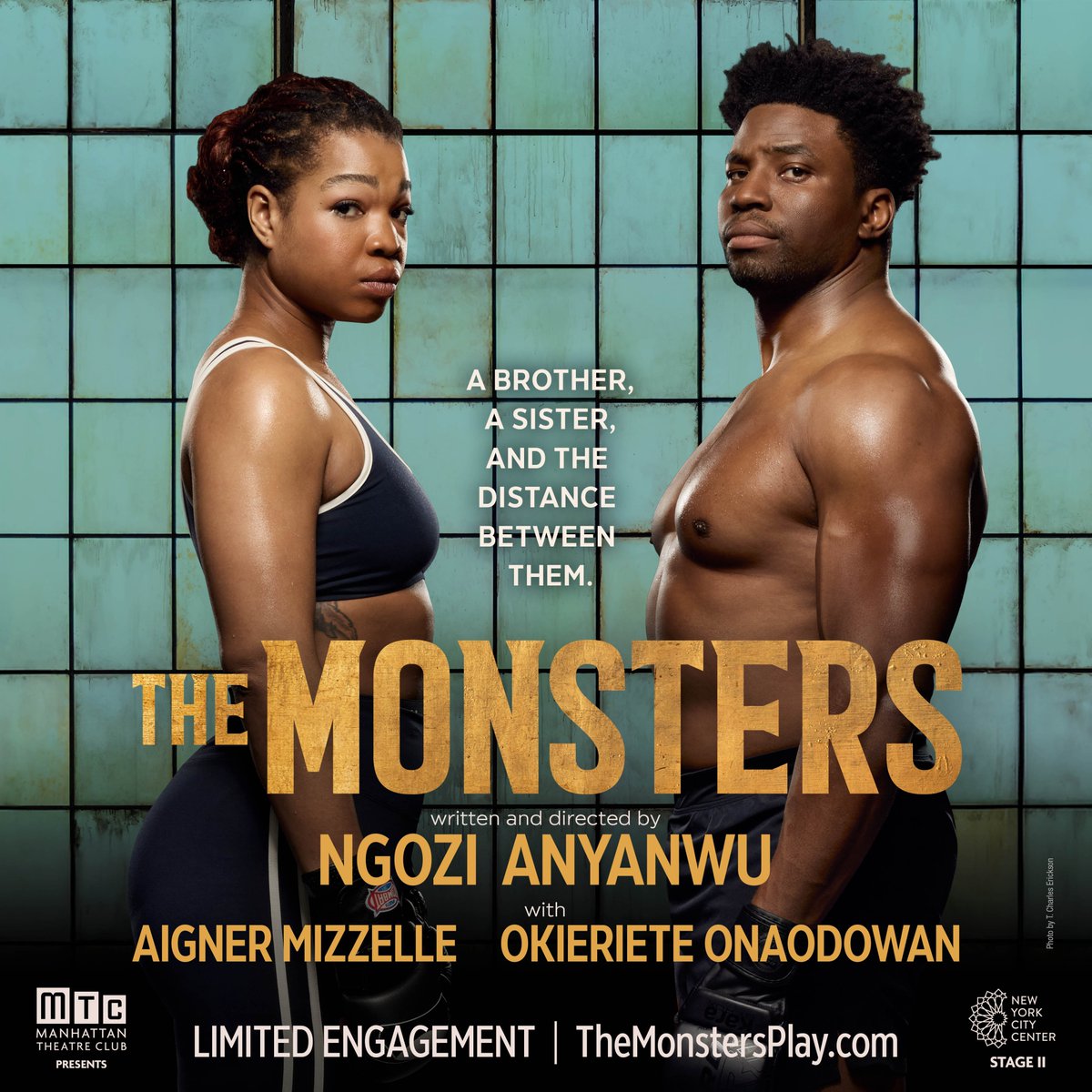 6 second review tweet media