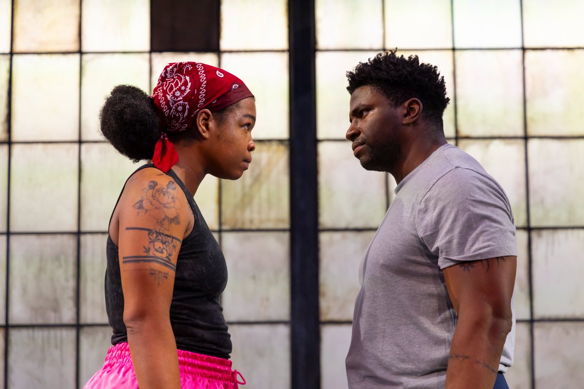 6 second review tweet media