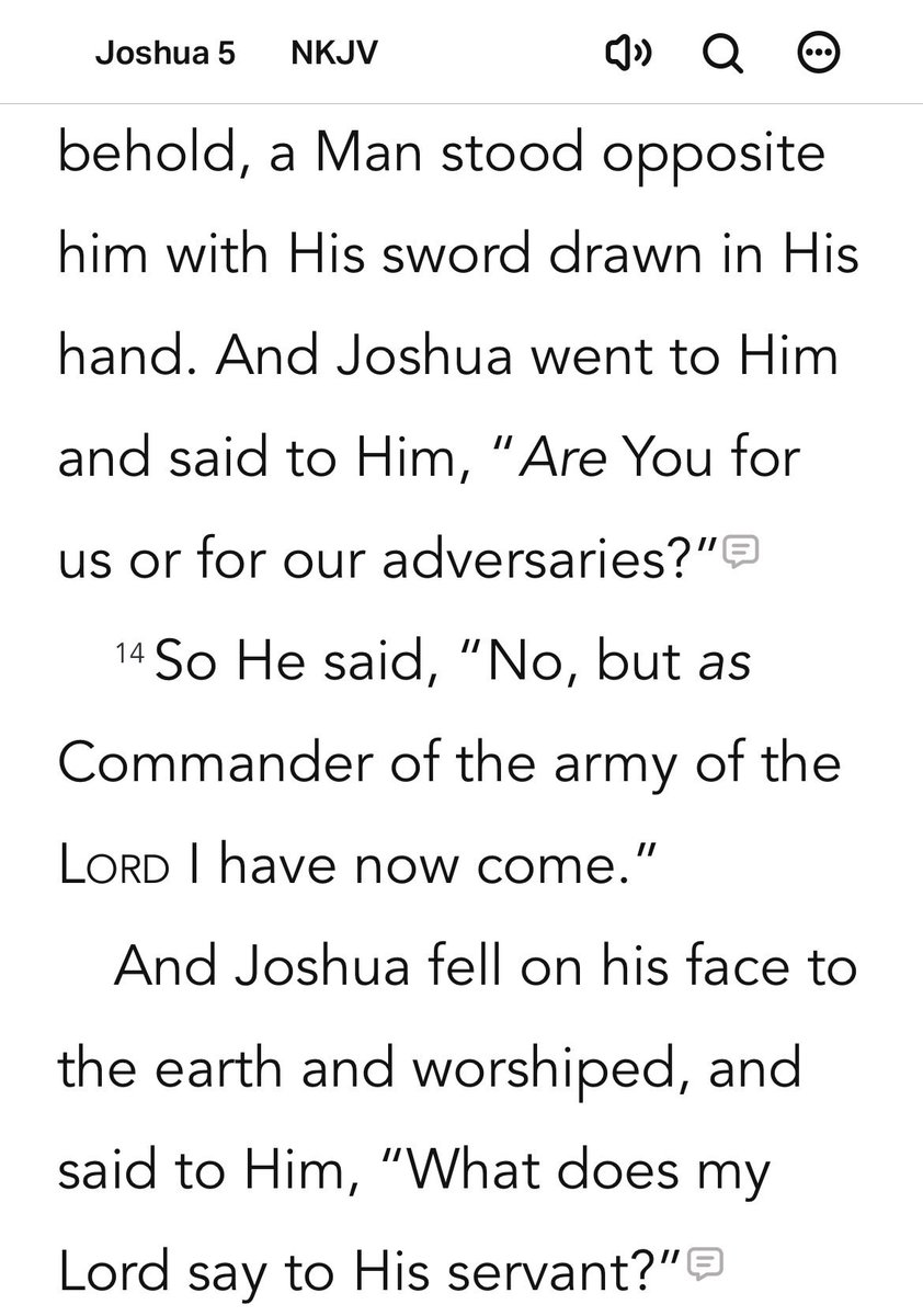 Matthias Riley tweet media