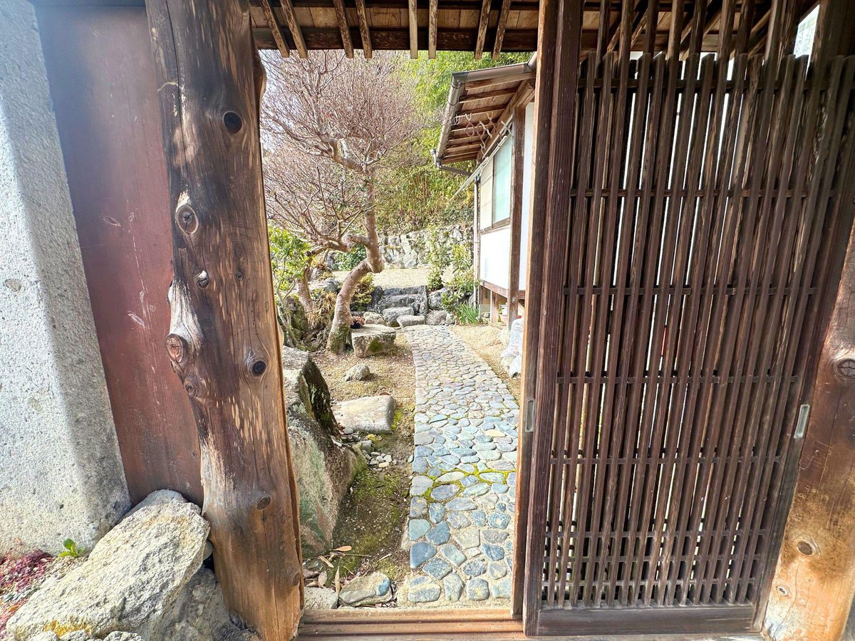 浅草不知秋～姚远 tweet media