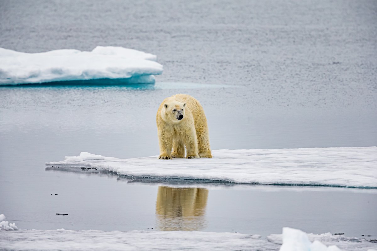 The Fifth Estate tweet media