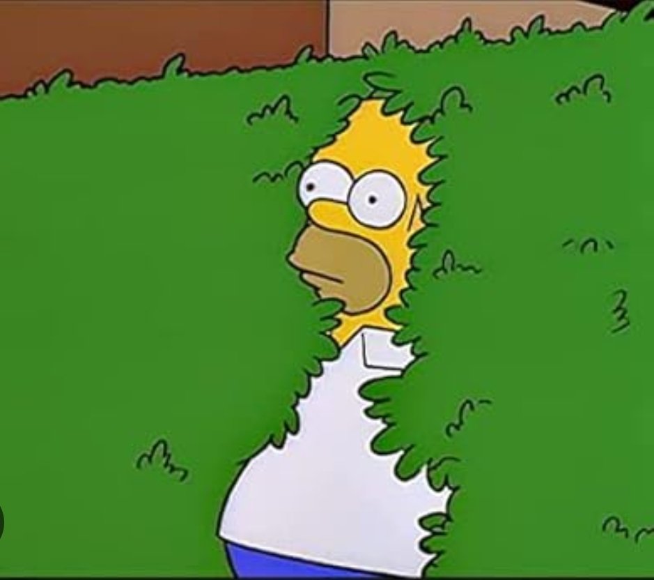 Steve Bulpett tweet media