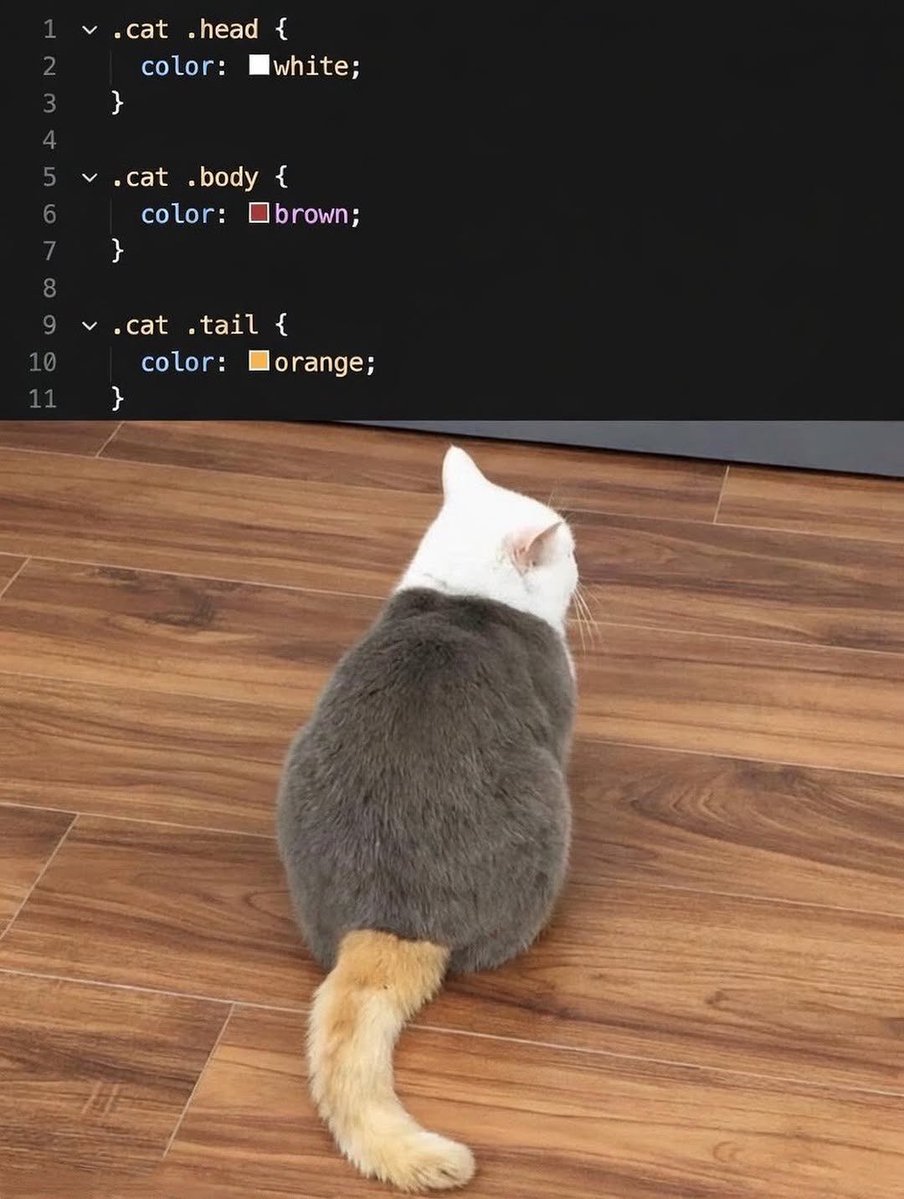 No Cats No Life (@nocatsnolife_m) on Twitter photo 