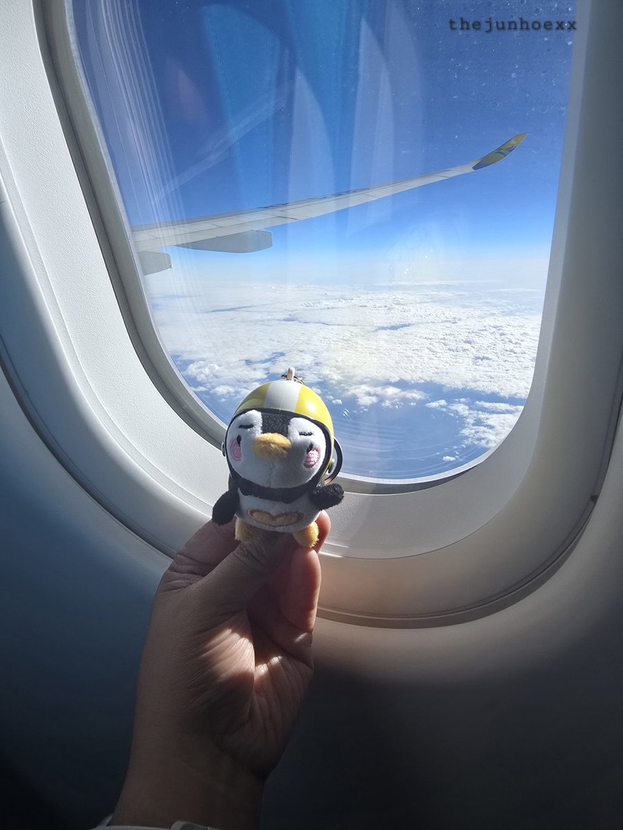 sey 🐧✨️💛 tweet media