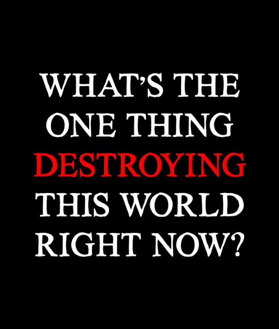 Honey 🛼 tweet media