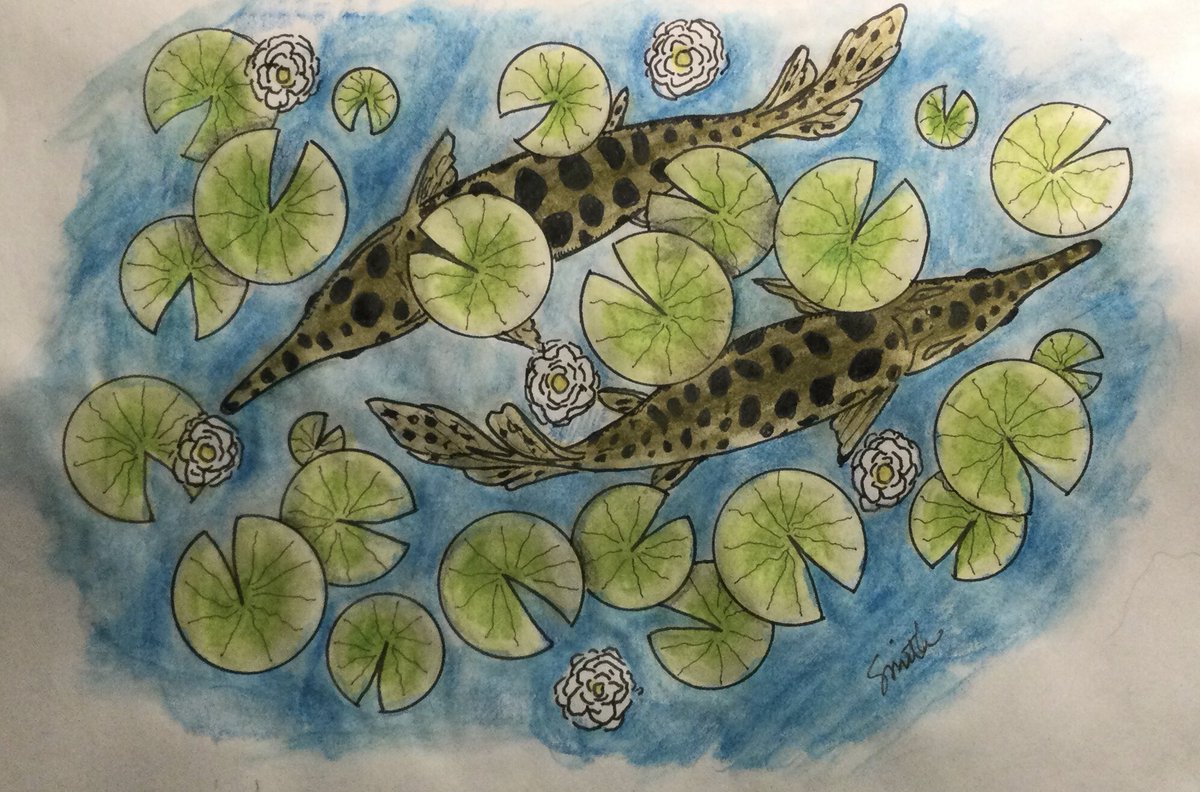 Creative Mitch tweet media