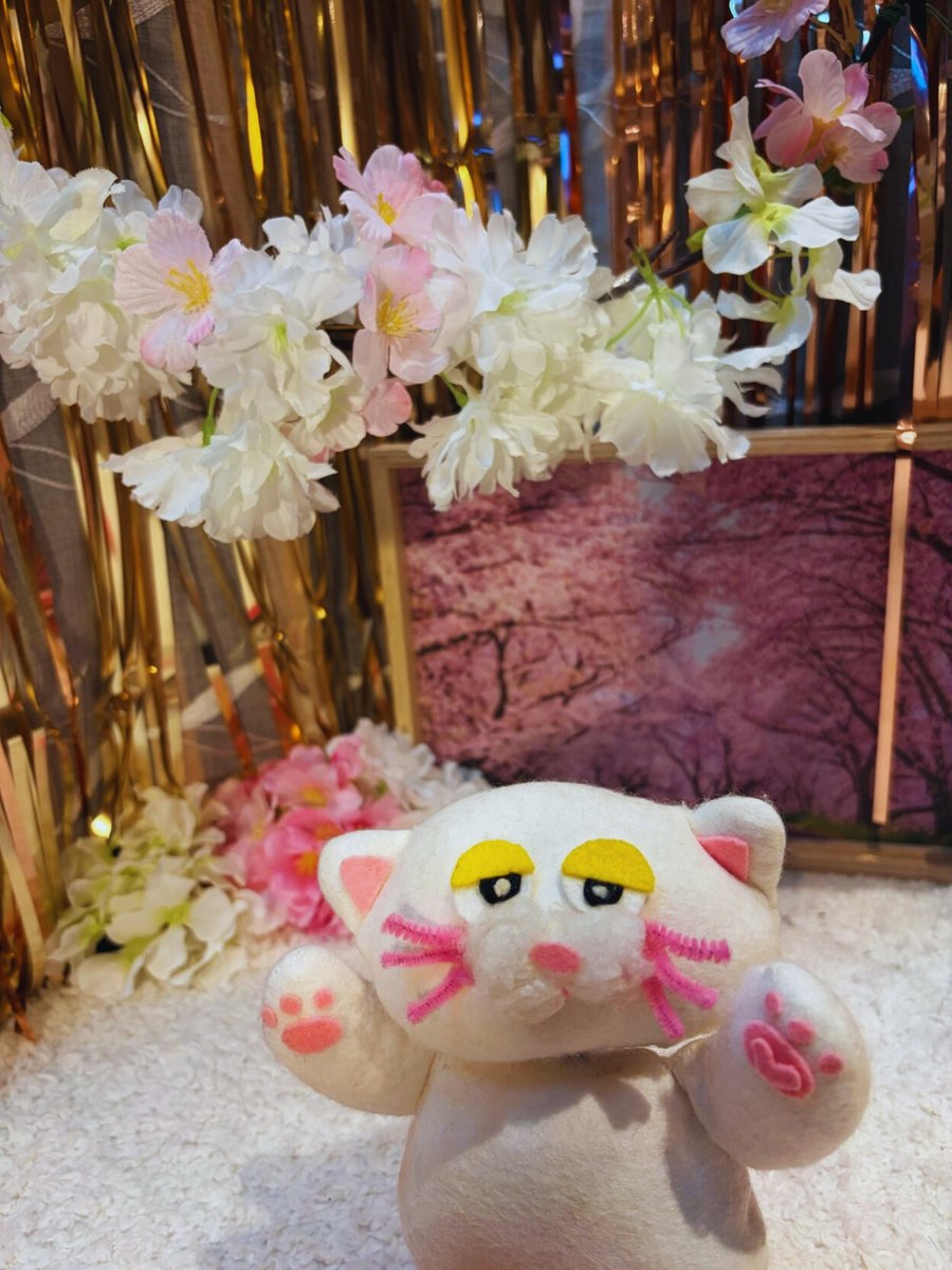 PETBOX オムとファムのふたりごと tweet media