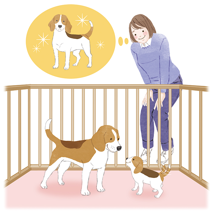 中島慶子 tweet media