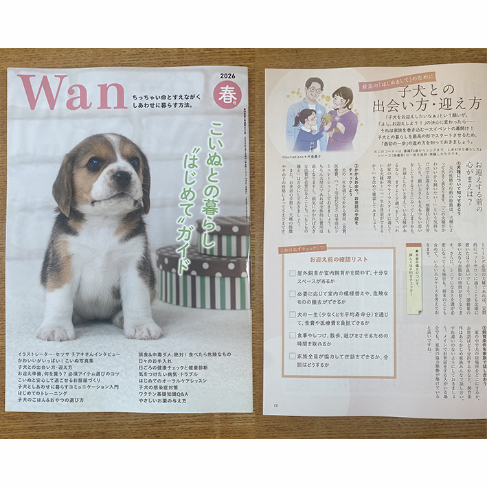中島慶子 tweet media