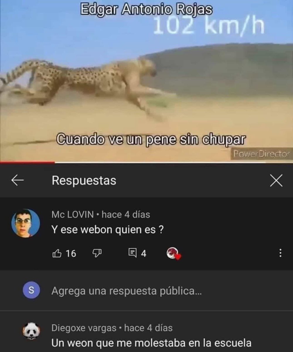 offzenzei tweet media