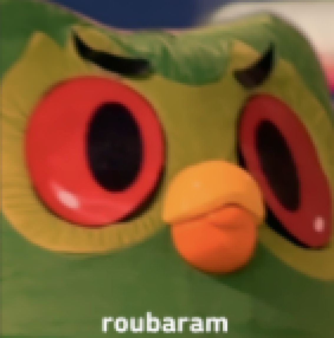 Duolingo Brasil 🇧🇷 (@duolingobrasil) on Twitter photo 