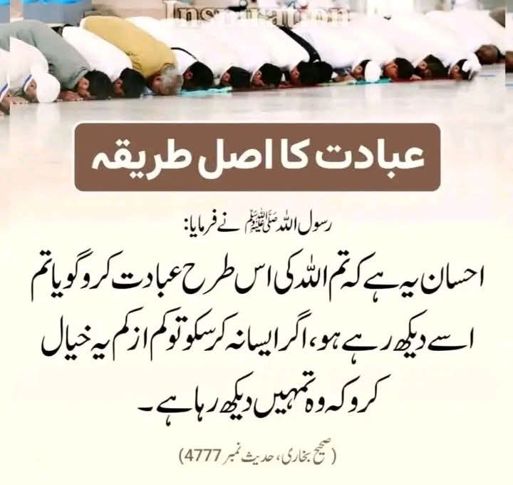 Muhammad Qasim bhatti tweet media