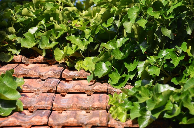 Jamie Davis tweet media