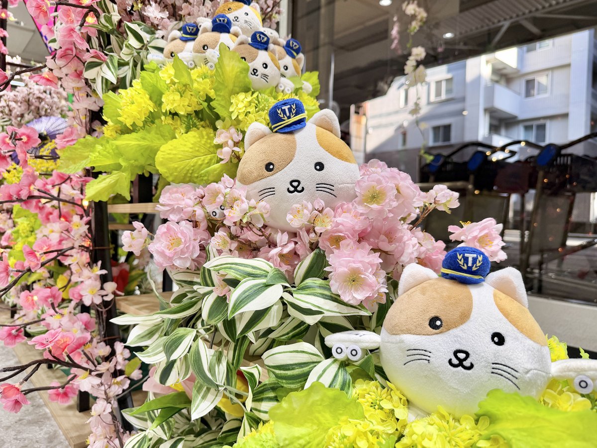 🌸桜の装飾を行いました🌸 東京シティエアターミナル(T-CAT)では