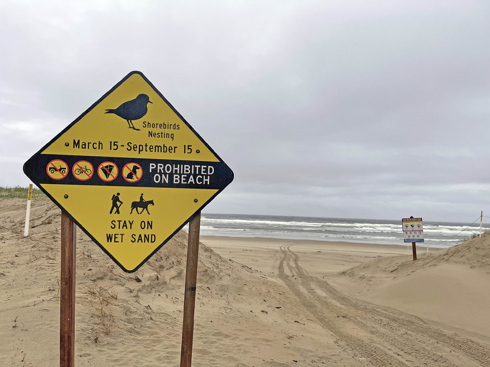 Oregon Coast tweet media